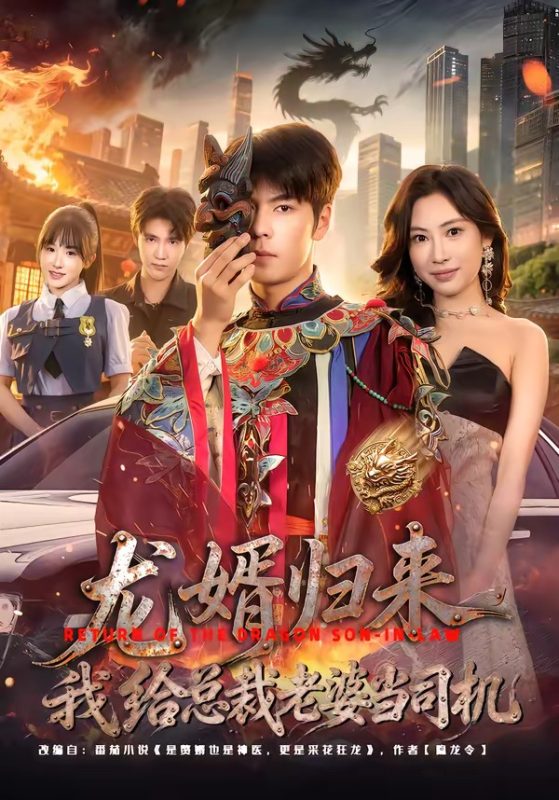 《龙婿归来，我给总裁老婆当司机》-VIP部落