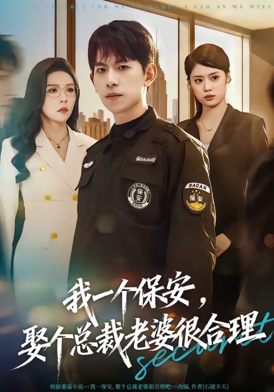 《我一个保安，娶个总裁老婆很合理》-VIP部落