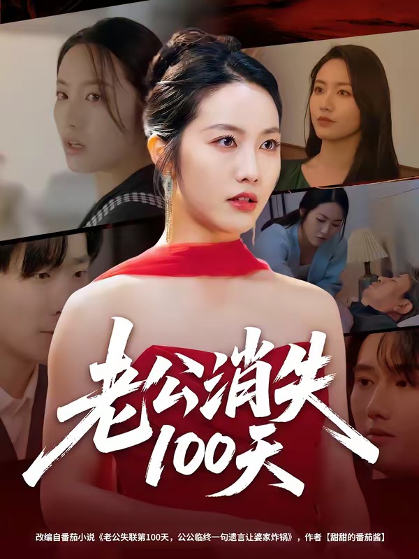 《老公消失100天》-VIP部落