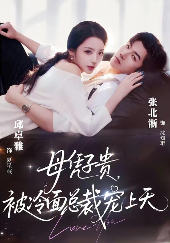 《母凭子贵，被冷面总裁宠上天》-VIP部落