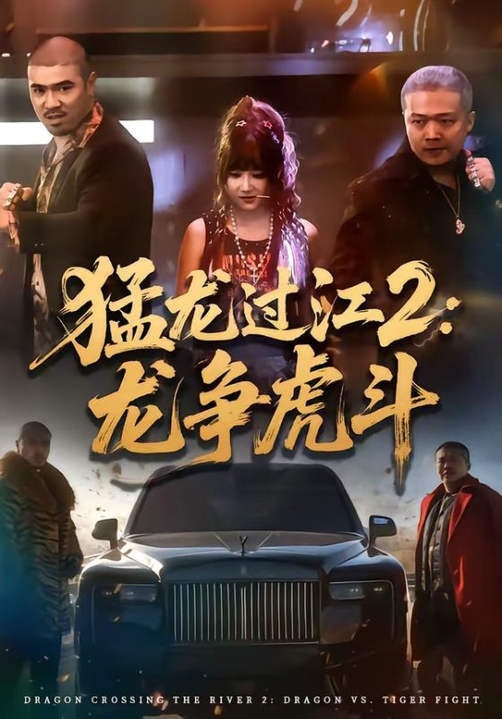《猛龙过江2：龙争虎斗》-VIP部落