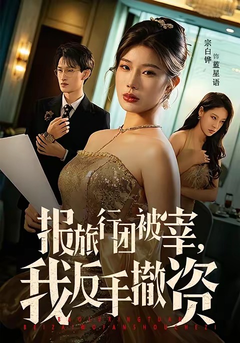 《报旅行团被宰，我反手撤资》-VIP部落