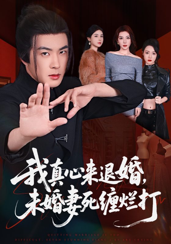 《我真心来退婚，未婚妻死缠烂打》-VIP部落