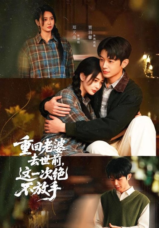 《重回老婆去世前，这一次绝不放手》-VIP部落