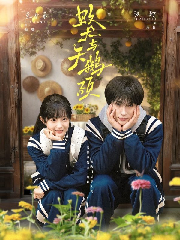 《败犬与天鹅颈》-VIP部落