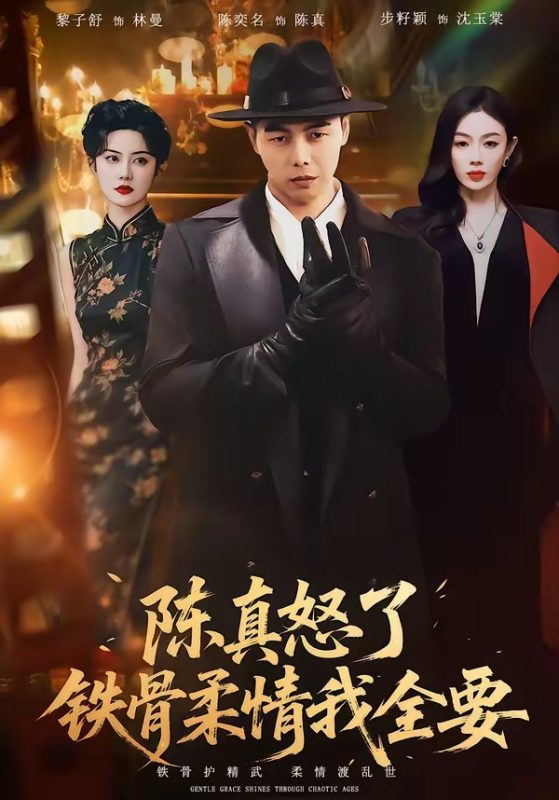 《陈真怒了铁骨柔情我全要》-VIP部落