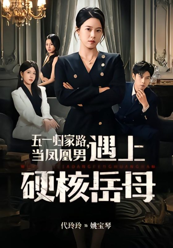 《五一归家路，当凤凰男遇上硬核岳母》-VIP部落