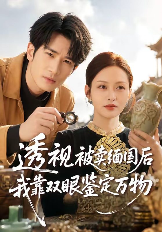 《透视被卖缅国后我靠双眼鉴定万物》-VIP部落