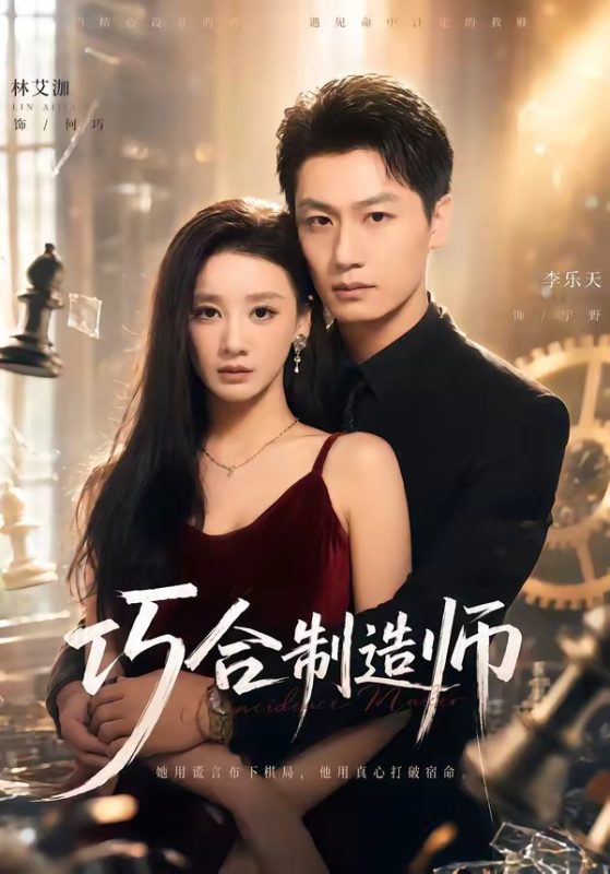 《巧合制造师》-VIP部落