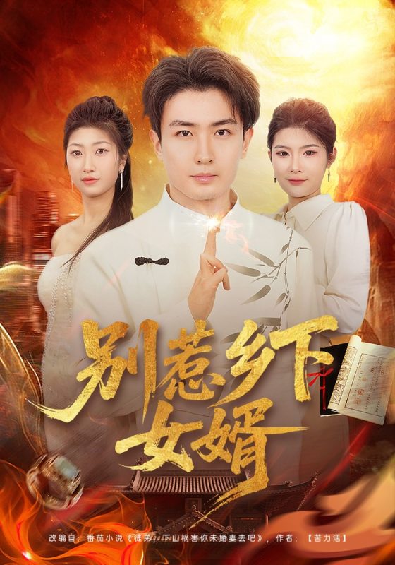《别惹乡下女婿》-VIP部落