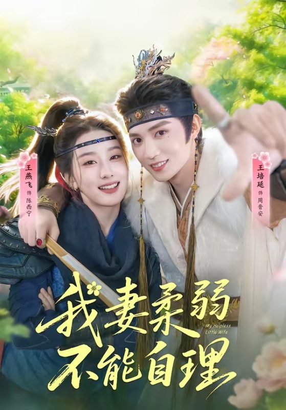 《我妻柔弱不能自理》-VIP部落