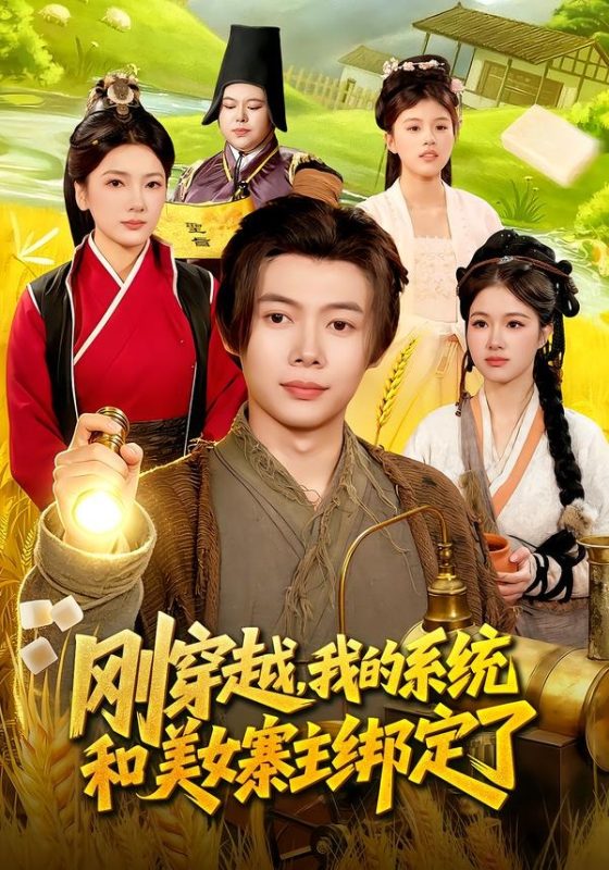 《刚穿越，我的系统和美女寨主绑定了》-VIP部落