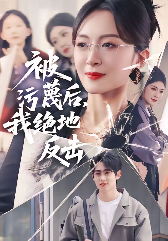 《被污蔑后，我绝地反击》-VIP部落