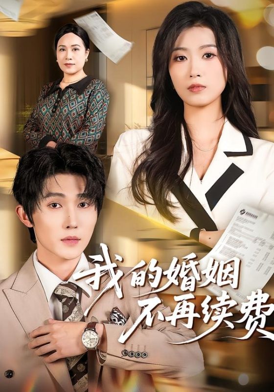《我的婚姻不再续费》-VIP部落