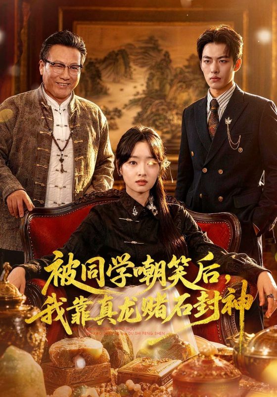 《被同学嘲笑后，我靠真龙赌石封神》-VIP部落