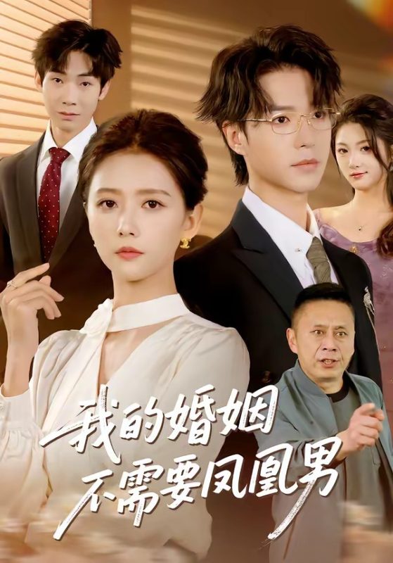 《我的婚姻不需要凤凰男》-VIP部落