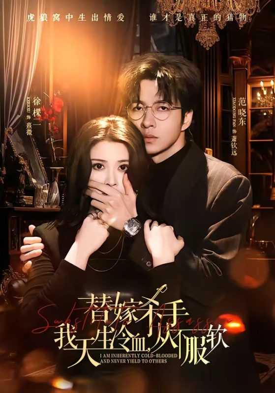 《替嫁杀手：我天生冷血，从不服软》-VIP部落