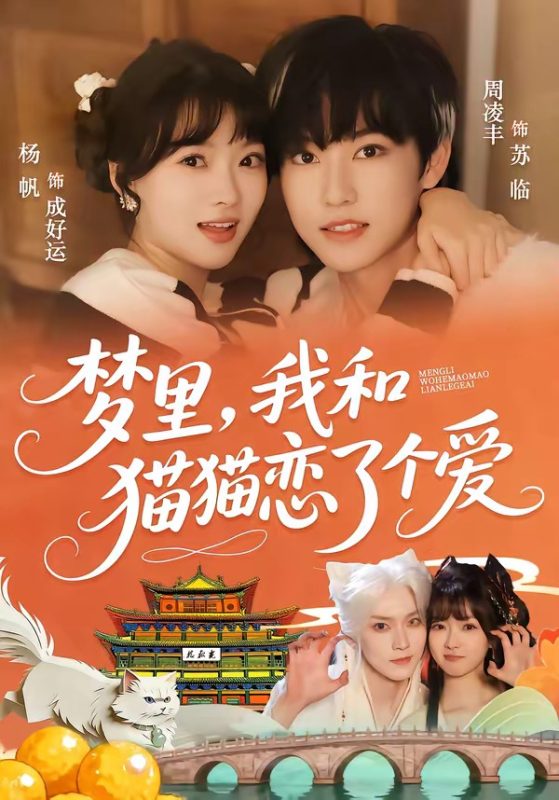 《梦里，我和猫猫恋了个爱》-VIP部落
