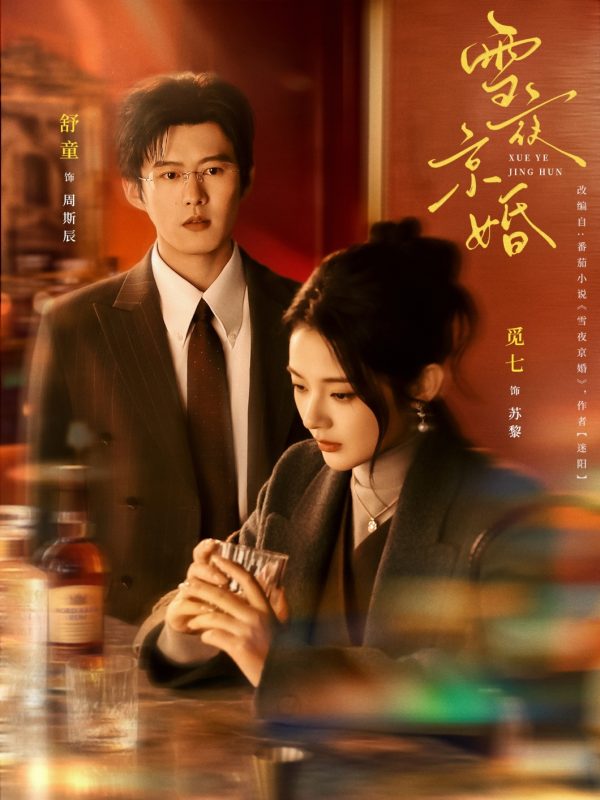 《雪夜京婚》-VIP部落