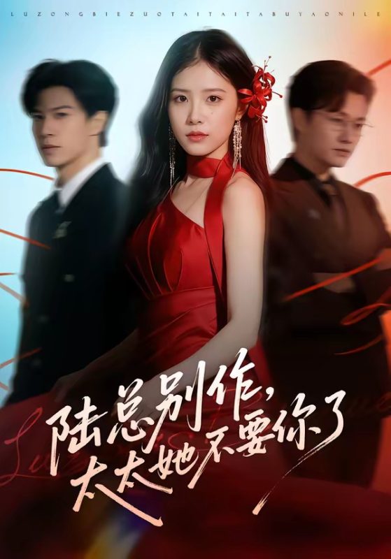 《陆总别作，太太她不要你了》-VIP部落