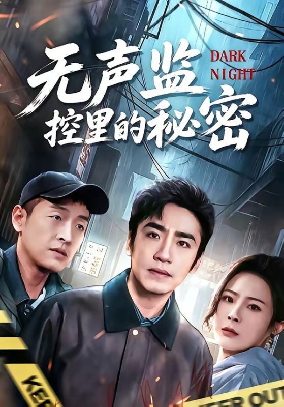 《无声监控里的秘密》-VIP部落