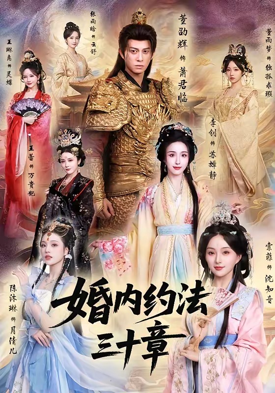 《婚内约法三十章》-VIP部落
