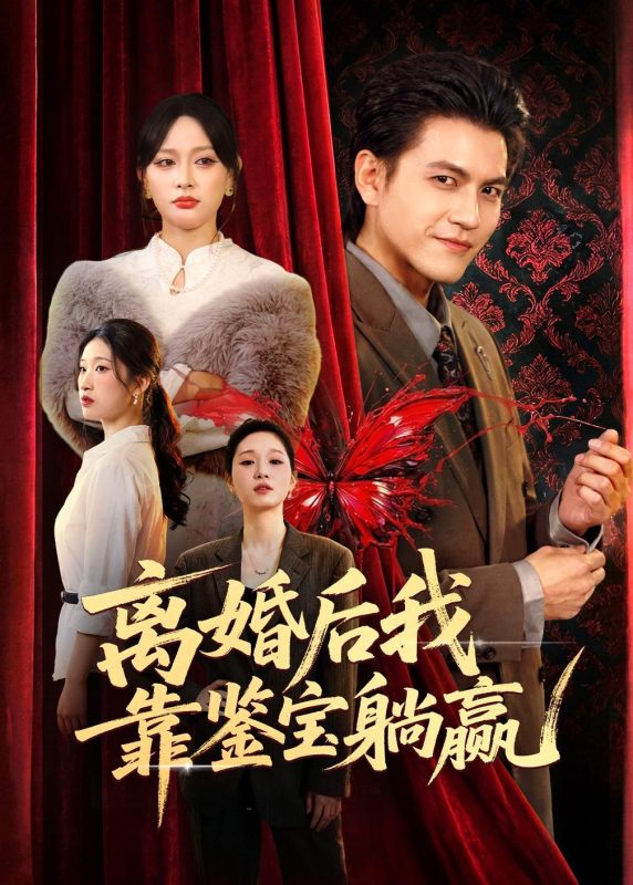 《离婚后我靠鉴宝躺赢》-VIP部落