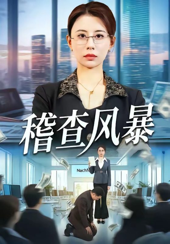 《稽查风暴》-VIP部落