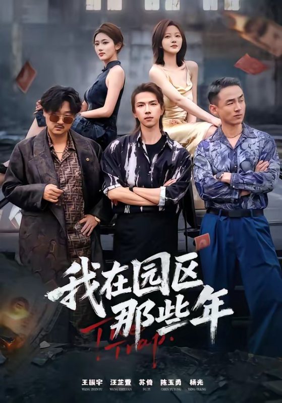 《我在园区那些年》-VIP部落