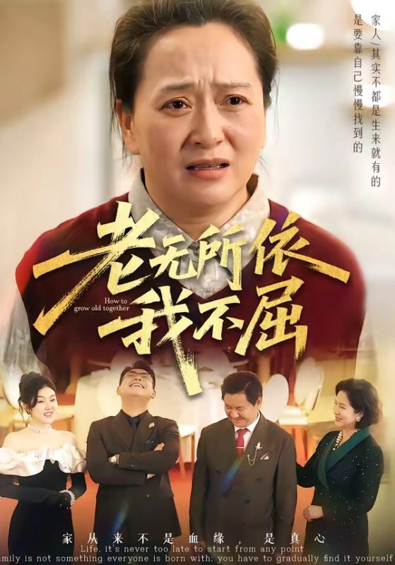 《老无所依我不屈》-VIP部落