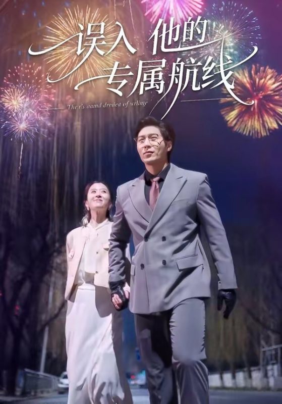 《误入他的专属航线》-VIP部落