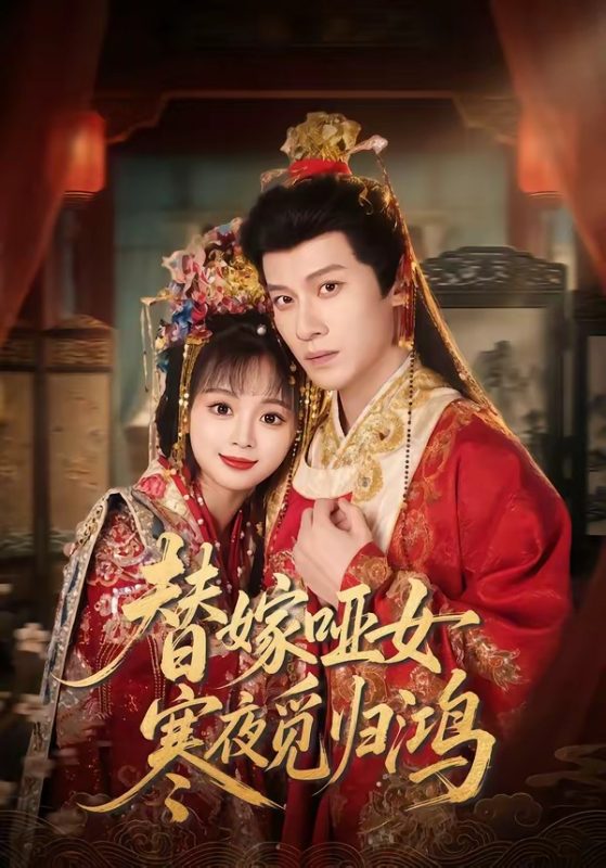 《替嫁哑女寒夜觅归鸿》-VIP部落