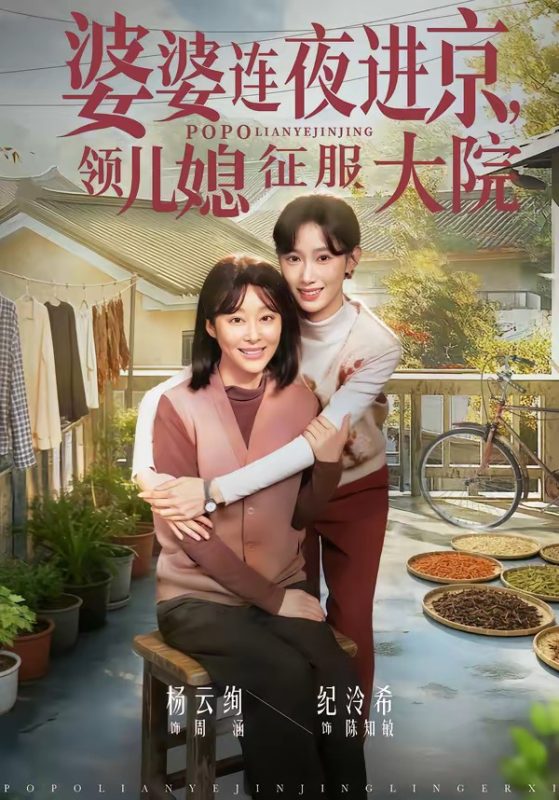 《婆婆连夜进京，领儿媳征服大院》-VIP部落