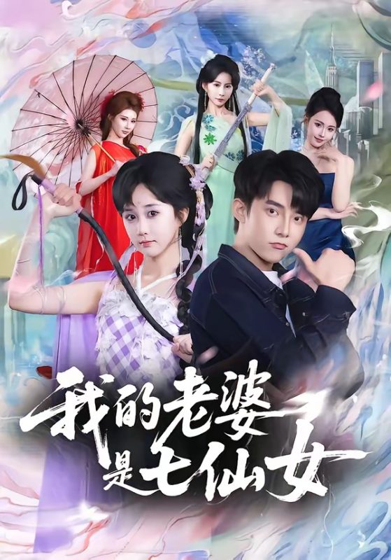《我的老婆是七仙女》-VIP部落