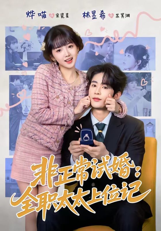 《非正常试婚：全职太太上位记》-VIP部落
