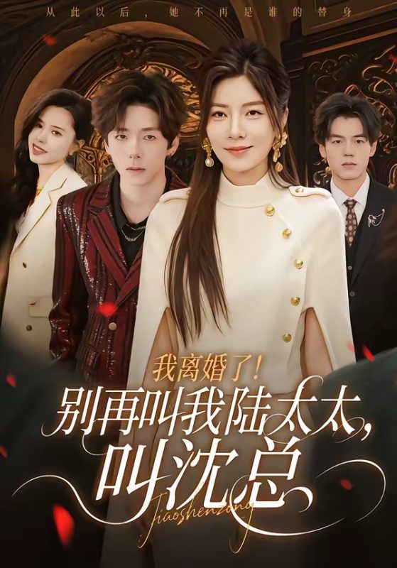 《我离婚了！别再叫我陆太太，叫沈总》-VIP部落