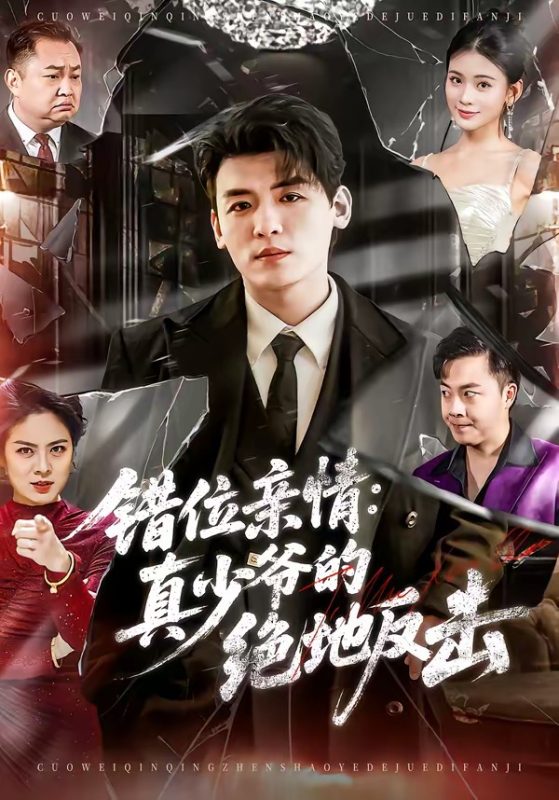 《错位亲情：真少爷的绝地反击》-VIP部落