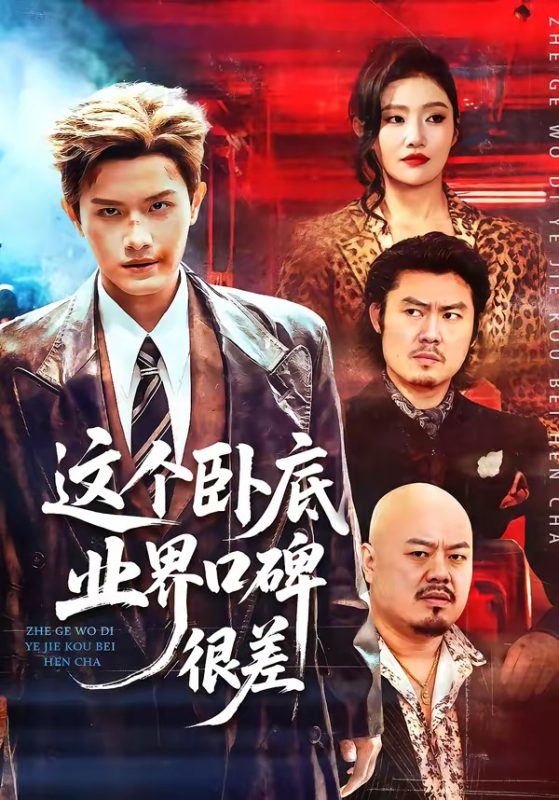 《这个卧底业界口碑很差》-VIP部落