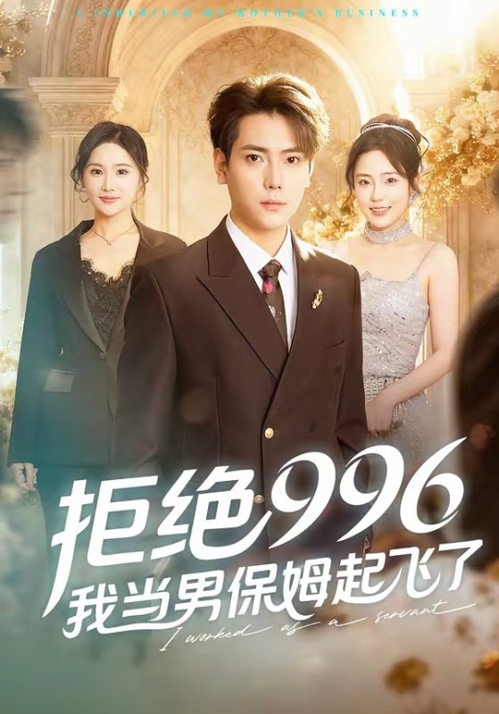 《拒绝996，我当男保姆起飞了》-VIP部落
