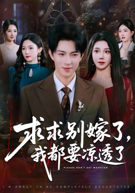 《求求别嫁了，我都要凉透了》-VIP部落