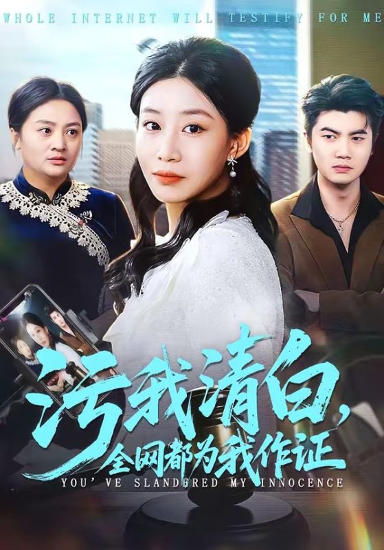 《污我清白，全网都为我作证》-VIP部落