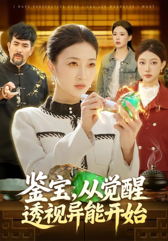 《鉴宝，从觉醒透视异能开始》-VIP部落