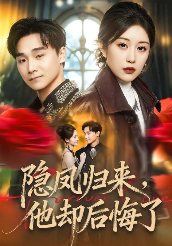 《隐凤归来，他却后悔了》-VIP部落