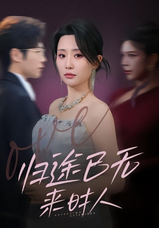 《归途已无来时人》-VIP部落