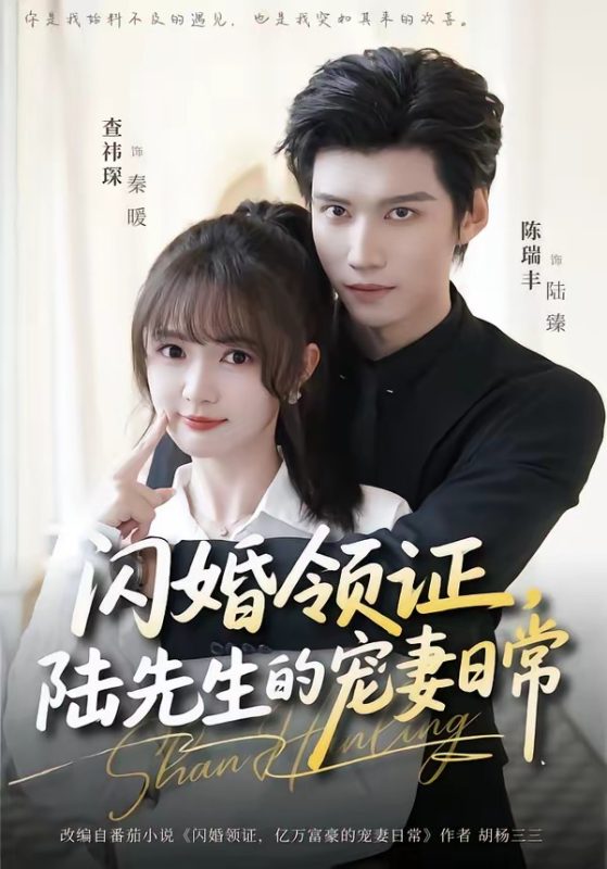 《闪婚领证，陆先生的宠妻日常》-VIP部落