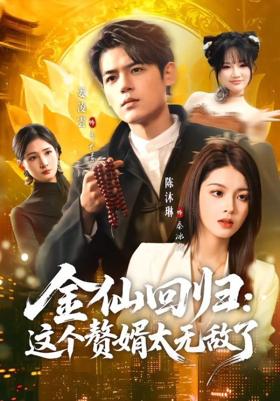 《金仙回归：这个赘婿太无敌了》-VIP部落