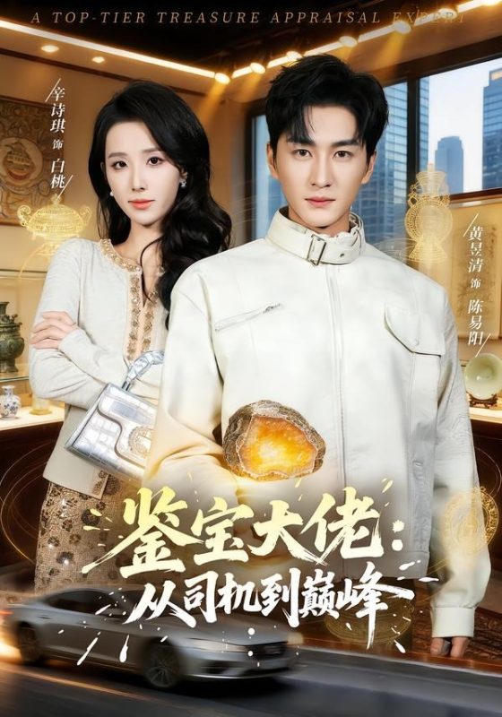 《鉴宝大佬： 从司机到巅峰》-VIP部落