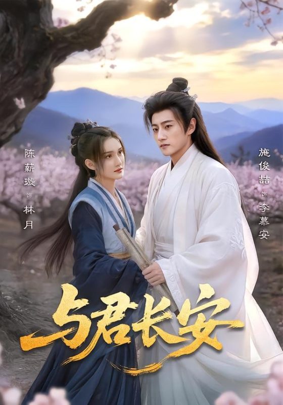 《与君长安》-VIP部落