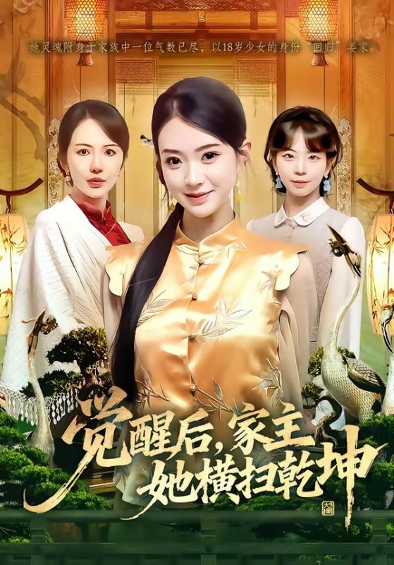 《觉醒后，家主她横扫乾坤》-VIP部落