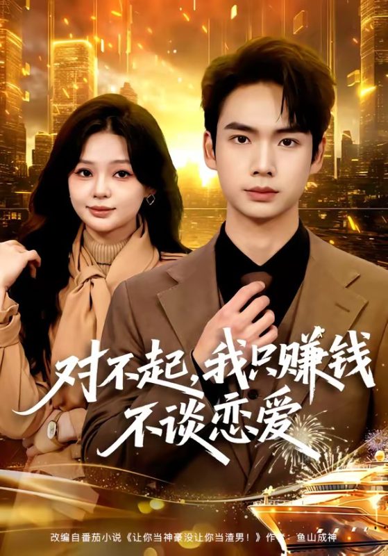 《对不起，我只赚钱不谈恋爱》-VIP部落